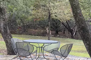 529 Cactus Flower St, San Antonio, TX 78260 - Photo 33