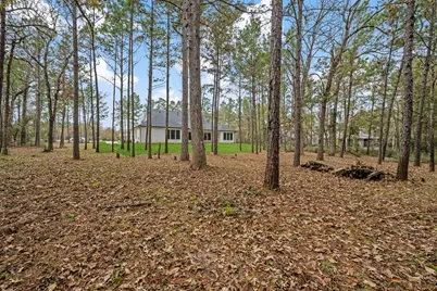 8513 Monarch Ridge Trail, Montgomery, TX 77316 - Photo 41