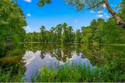 356 Fm 247 Road, Huntsville, TX 77320 - Photo 37