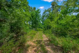 356 Fm 247 Rd, Huntsville, TX 77320 - Photo 35