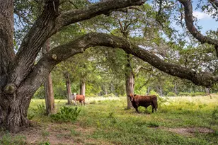 11773 Newberg Rd, Cat Spring, TX 78933 - Photo 35
