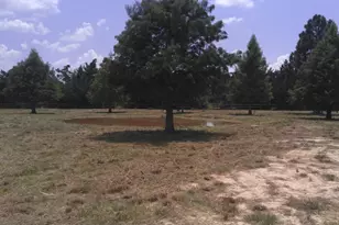 32519 Gadwall St, Brookshire, TX 77423 - Photo 1