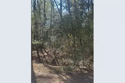 Lot 67/68 Wildwood Harbor, Onalaska, TX 77360 - Photo 5