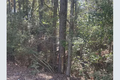 Lot 67/68 Wildwood Harbor, Onalaska, TX 77360 - Photo 1