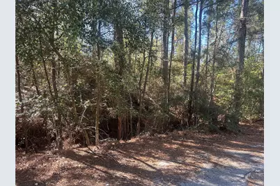 Lot 67/68 Wildwood Harbor, Onalaska, TX 77360 - Photo 11