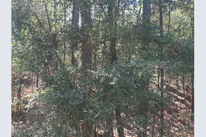 Lot 67/68 Wildwood Harbor, Onalaska, TX 77360 - Photo 9