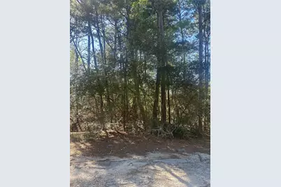 Lot 67/68 Wildwood Harbor, Onalaska, TX 77360 - Photo 3