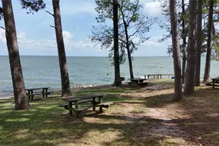 581 Northwood Dr, Point Blank, TX 77364 - Photo 37