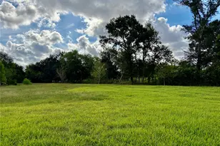12421 Roy Rd, Brookside, TX 77581 - Photo 5