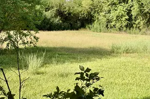 12421 Roy Rd, Brookside, TX 77581 - Photo 5