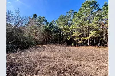 Tbd Cr 300, Oakwood, TX 75855 - Photo 15