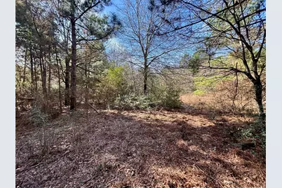 Tbd Cr 300, Oakwood, TX 75855 - Photo 41