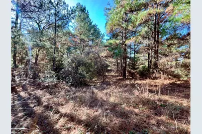 Tbd Cr 300, Oakwood, TX 75855 - Photo 35