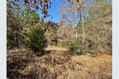 Tbd Cr 300, Oakwood, TX 75855 - Photo 43