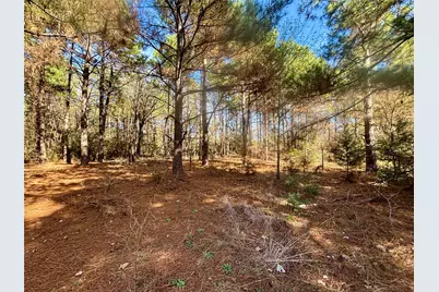 Tbd Cr 300, Oakwood, TX 75855 - Photo 9