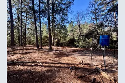 Tbd Cr 300, Oakwood, TX 75855 - Photo 21