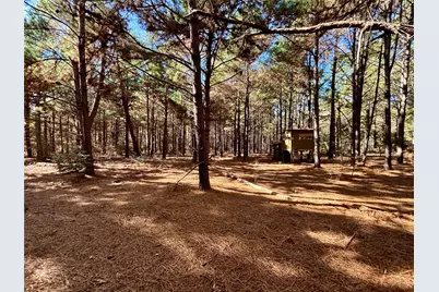 Tbd Cr 300, Oakwood, TX 75855 - Photo 11