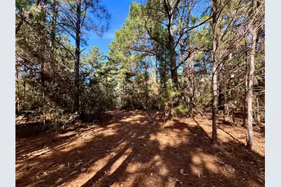 Tbd Cr 300, Oakwood, TX 75855 - Photo 19