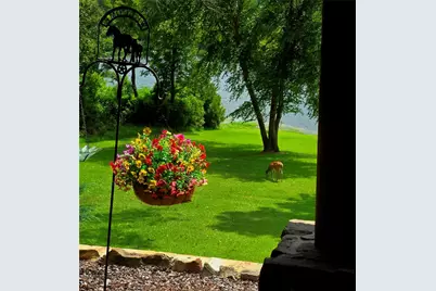 9033 Safari Shores Drive, LaRue, TX 75770 - Photo 19