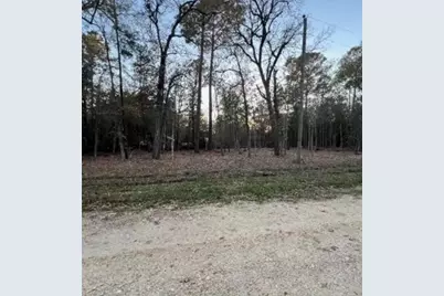 0 Deer Trail, Livingston, TX 77351 - Photo 1