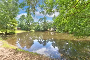 81 S Hidden View Cir, The Woodlands, TX 77381 - Photo 19
