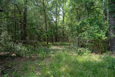 6866 Pennsylvania Avenue, Montgomery, TX 77316 - Photo 13