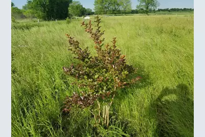 265 Lcr 722, Kosse, TX 76653 - Photo 5