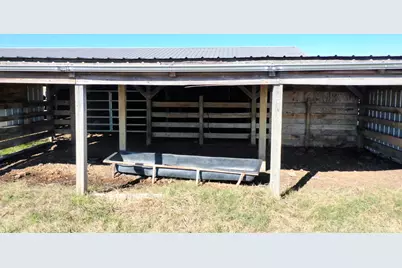 596 County Road 3057, Crockett, TX 75835 - Photo 13