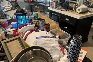 191 Golden Autumn Pl, The Woodlands, TX 77384 - Photo 25