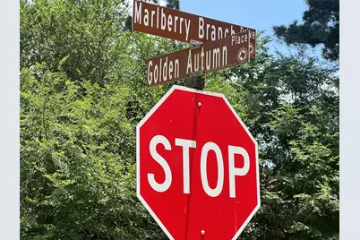 191 Golden Autumn Place, The Woodlands, TX 77384 - Photo 15