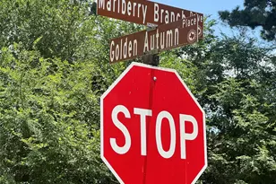 191 Golden Autumn Pl, The Woodlands, TX 77384 - Photo 15