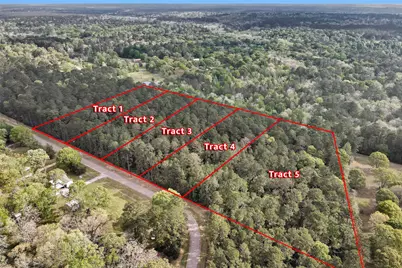 Tbd- Tr1 Cedar Lane Loop, Willis, TX 77378 - Photo 3