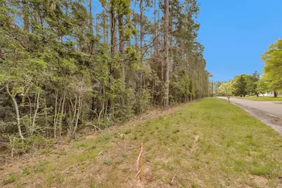 Tbd- Tr1 Cedar Lane Loop, Willis, TX 77378 - Photo 5
