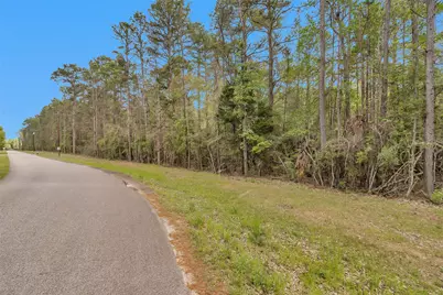 Tbd- Tr1 Cedar Lane Loop, Willis, TX 77378 - Photo 7