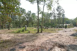 17648 Rhonda Ln, Montgomery, TX 77316 - Photo 11