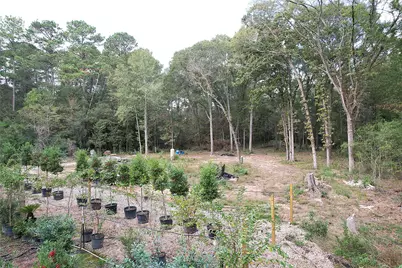 17648 Rhonda Lane, Montgomery, TX 77316 - Photo 9