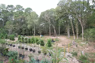 17648 Rhonda Ln, Montgomery, TX 77316 - Photo 9