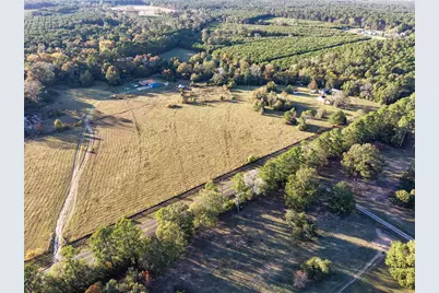 6950 Fm 945 N, Coldspring, TX 77331 - Photo 3