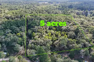 1903 W Geronimo Trail, Cleveland, TX 77328 - Photo 3