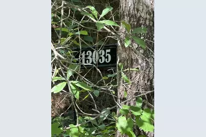13035 Hollybrook Drive, Plantersville, TX 77363 - Photo 5