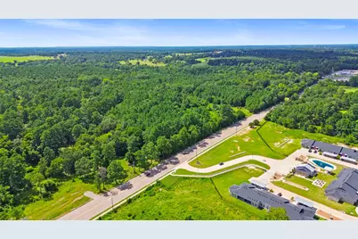 Tbd Fm 247, Huntsville, TX 77340 - Photo 3