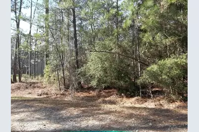 0 Dagger Drive, Brookeland, TX 75931 - Photo 5