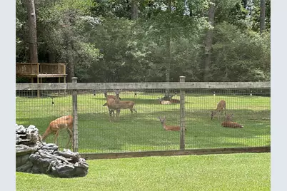 13537 Laramie Trail, Montgomery, TX 77316 - Photo 27