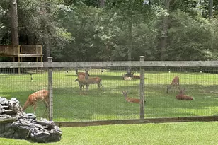 13537 Laramie Trail, Montgomery, TX 77316 - Photo 27