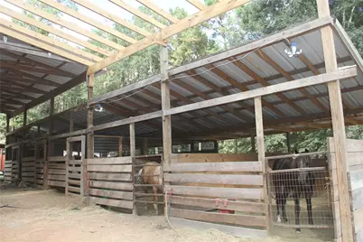 12240 High Fire Road, Montgomery, TX 77356 - Photo 13