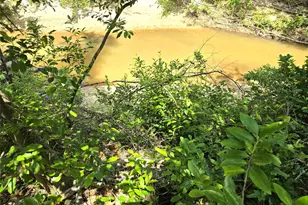 110B S Beatty Ave, Livingston, TX 77351 - Photo 5