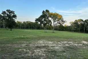 612 Worsham St, Montgomery, TX 77316 - Photo 3