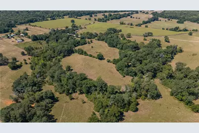 Tbd County Road 320, Centerville, TX 75833 - Photo 9