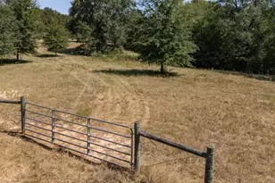 Tbd County Road 320, Centerville, TX 75833 - Photo 1