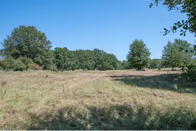 Tbd County Road 320, Centerville, TX 75833 - Photo 3